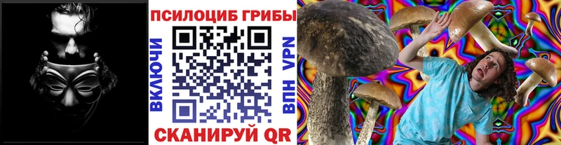 наркота  Приморско-Ахтарск  Псилоцибиновые грибы ЛСД 